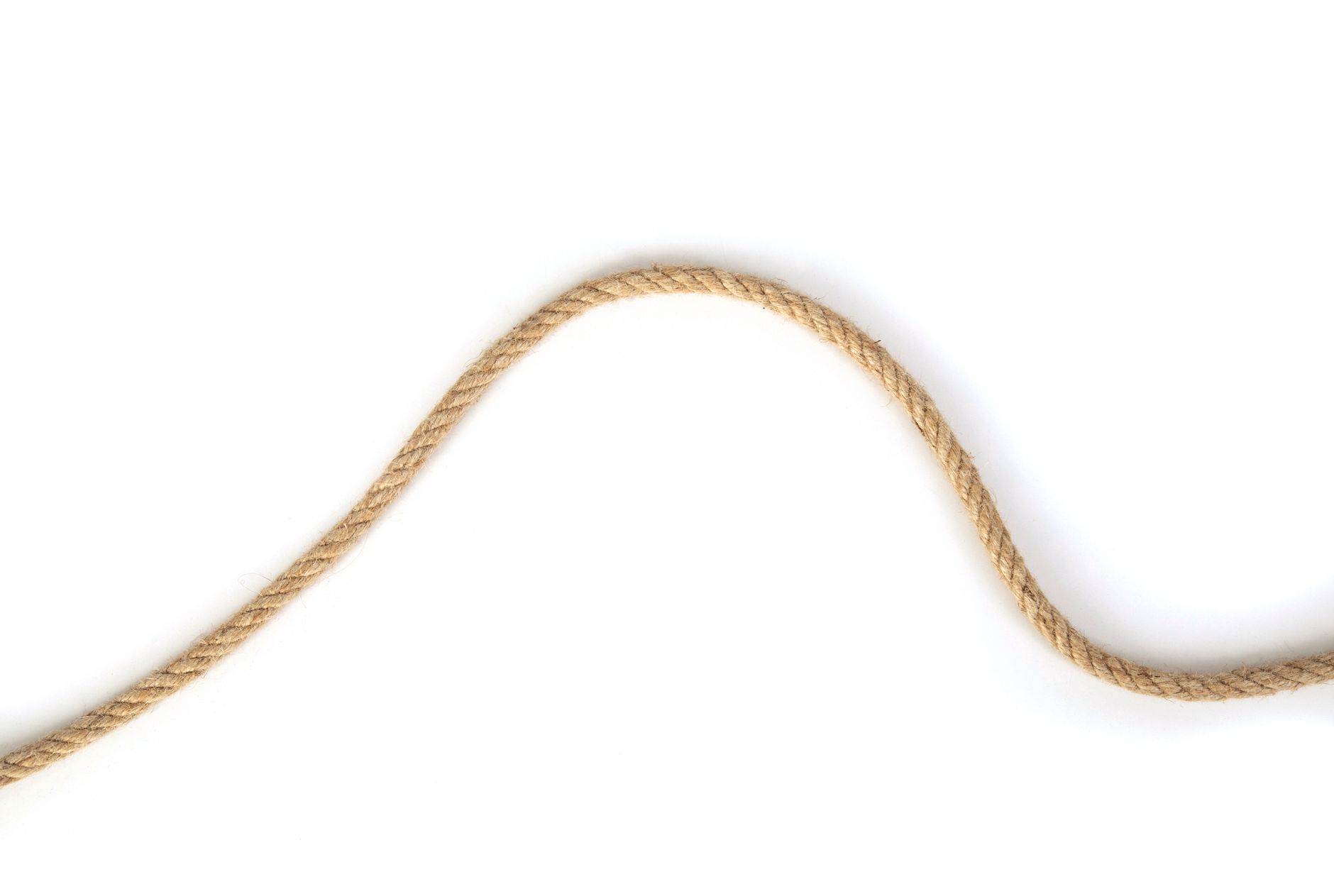 The Thick or Myosin Filament for the CISSN Exam